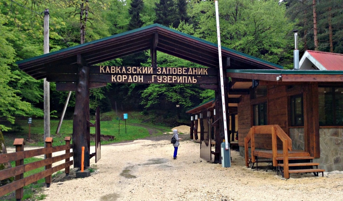 Кавказский заповедник кордон Лагонаки